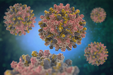 Hitri test HEV IGM: vodilna pot pri diagnozi hepatitisa E