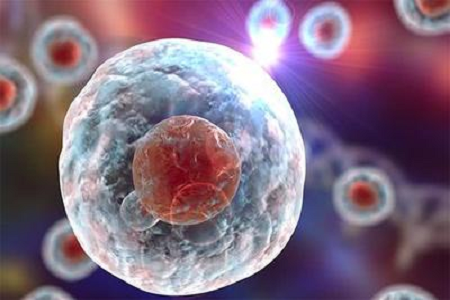 Babio lansira kakovostno raztopino Giemsa B za napredno citogenetsko in hematološko diagnostiko