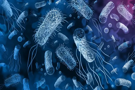 Babio izstreli komplet za odkrivanje antigena Vibrio Cholerae