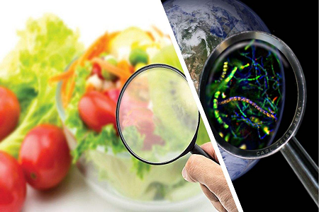 BABIO lansira kaseto za hitri test aflatoksina B1 za globalni nadzor varnosti hrane