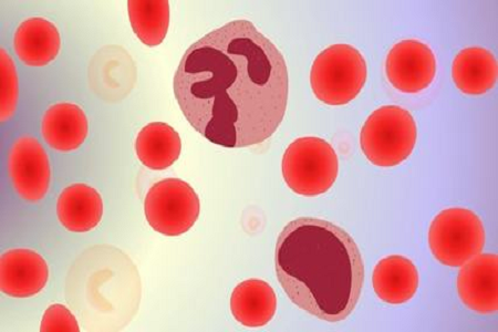 BABIO lansira HBcAb Hepatitis B Core Ab hitri test za svetovne trge