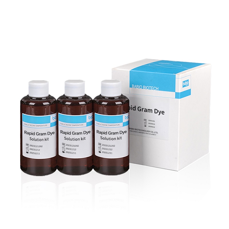 Rapid Gram Dye Solution komplet